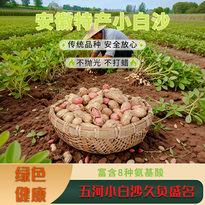 小白沙带壳花生安徽特产礼品零食