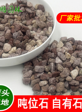 红色鹅卵石 树坑机制白鹅石 景观铺路石 水磨白石子