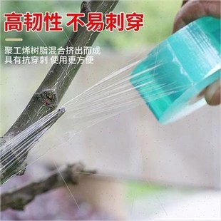 2卷装 卷 PVC嫁接膜 n果树苗木缠绕膜捆扎保护拉伸自粘100米长