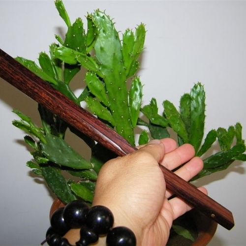 文扇折扇扇骨老海黄芝麻点纯手工文房把玩定制藏品