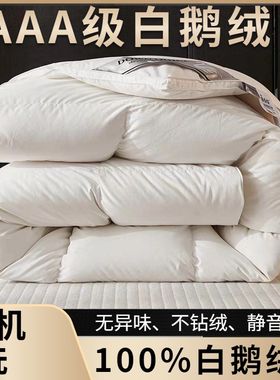 1波兰羽绒被冬被春秋被白鹅绒被子被芯鹅毛M被100白鹅绒加厚保暖