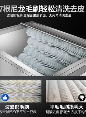 全自动商用毛辊去皮机土豆红薯萝卜莲藕生姜生蚝猪蹄脱皮机清洗机