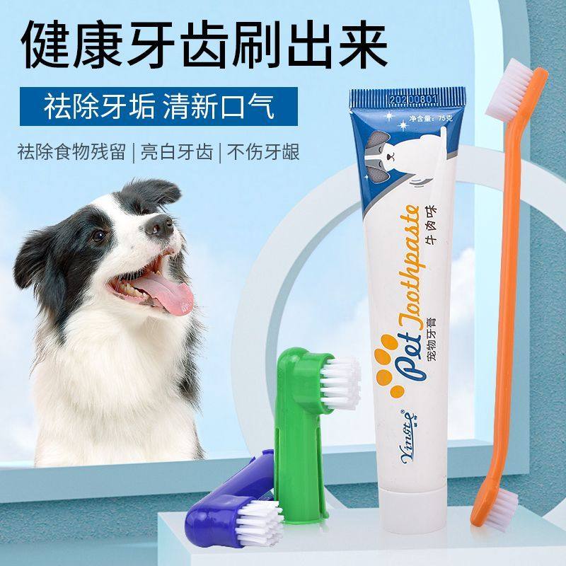 新疆包邮狗狗牙刷牙可食用猫咪牙膏小狗牙刷洁牙去口腔异味清洁刷,宠物/宠物食品及用品,橡胶球/球形玩具,淘宝优惠券,粉丝福利购,淘宝优惠卷