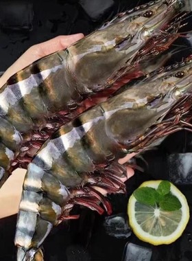 7只左右/斤A级1015规格黑虎虾3斤/盒21-24只左右鲜活船冻