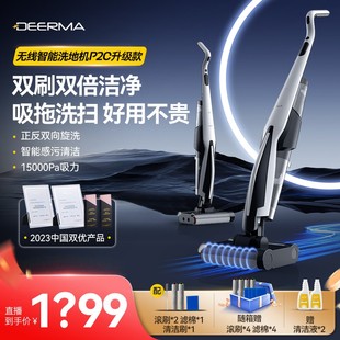 【升级款热销20W+】德尔玛无线双滚刷洗地机家用吸拖洗擦一体机P2