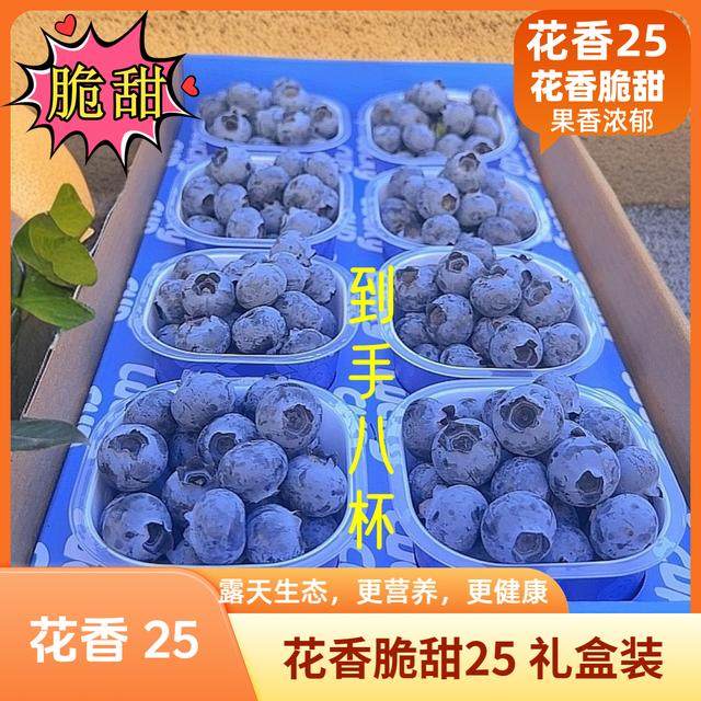莓小蓝印象庄园花香蓝莓小懒杯礼盒云南抚仙湖生态蓝莓新鲜现摘