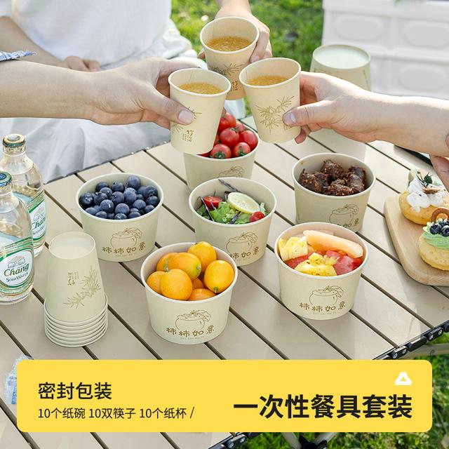 【造物小生】10碗10杯10筷十人份便携一次性餐具套装