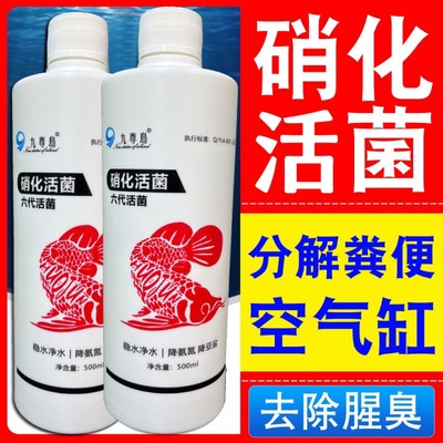 硝化细菌鱼缸水质净化专用剂用于鱼池开缸养水鱼缸维护活菌硝化菌