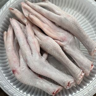 新鲜黑棕鹅掌翅 5a生鹅掌鹅脚板 棚鹅爪非冷冻鹅翼翅大包邮