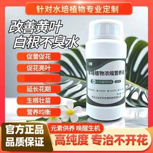 水培植物专用营养液观音竹富贵竹郁金香铜钱草通用型