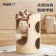 Hoopet猫爬架小户型不占地四季 通用猫抓桶猫窝一体家用双层剑麻桶