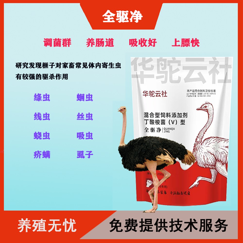 【华鸵云社】全驱净混合型饲料添加剂丁酸梭菌增加鸵鸟采食开僵促