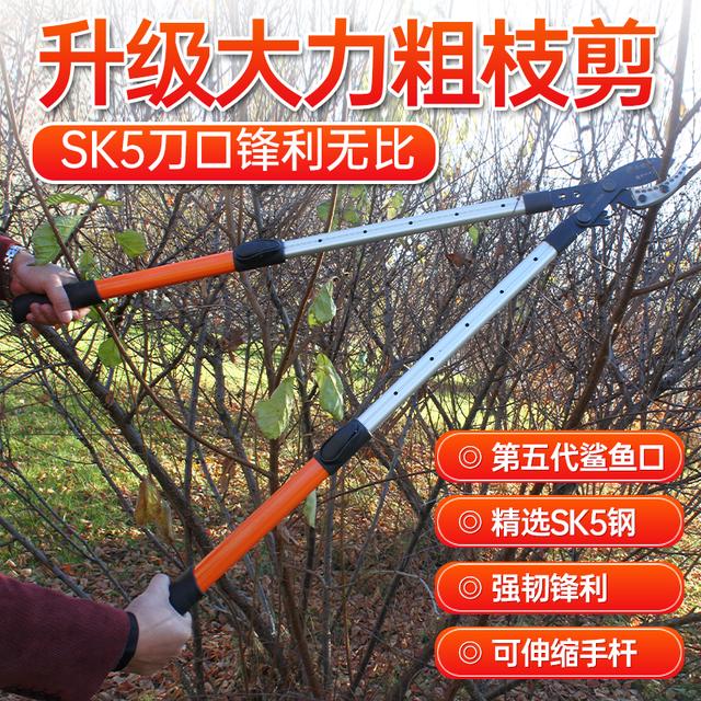 日本井田作齿轮伸缩大力粗枝剪刀果树高枝粗枝专用剪可伸缩剪枝