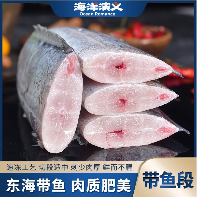 海洋演义 带鱼段 新鲜速冻 500g/包*8包