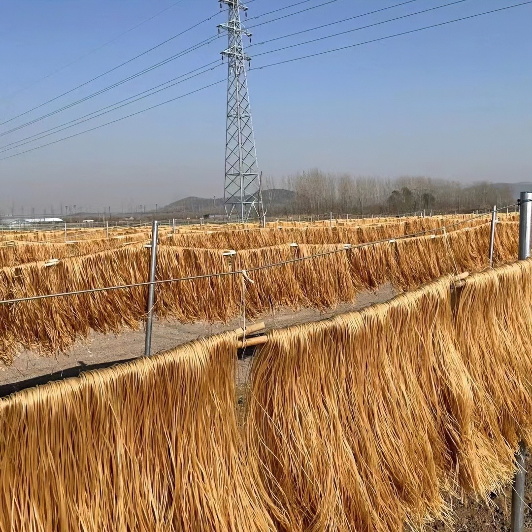 东泇河红薯粉条五斤装劲道耐煮自然晾晒