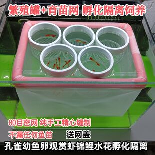 育苗网+繁殖罐组合使用 漂浮款产房孔雀鱼苗套装锦鲤卵生鱼孵化盒