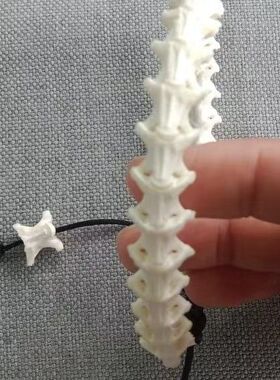 蟒骨手串蛇骨天然冷门小众文玩简约手链纯天然蛇骨链饰品高端