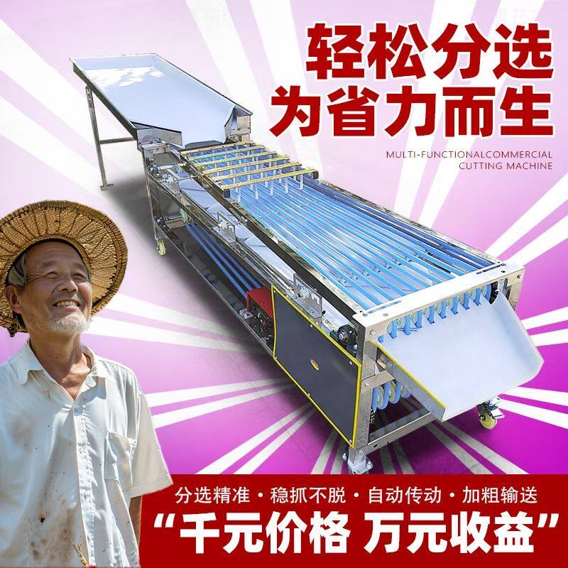 新款自动不伤果分选机李子圣女果选果机百香果槟郎分选设备机械厂