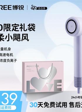 【搭配礼袋】飞科博锐高速吹风机静音负离子速干冷热风恒温PH1650