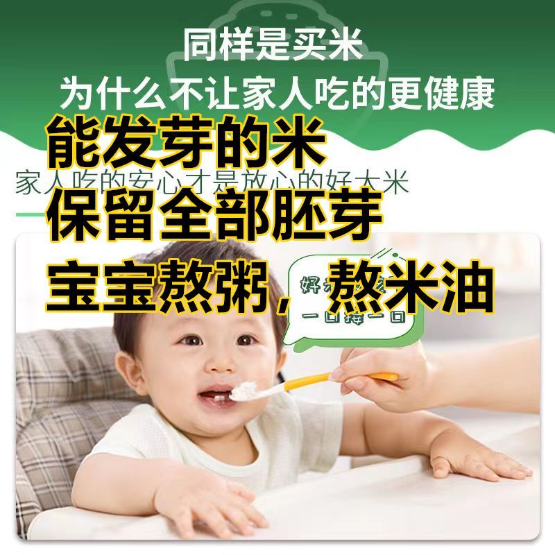 发芽糙米当天现磨籼米胚芽米儿童营养主食米粥宝宝辅食宝宝营养粥