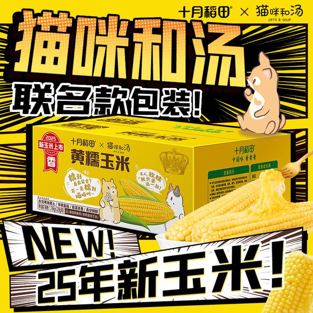 25年新玉米十月稻田黄糯玉米限定联名装香甜糯东北黏苞米早餐