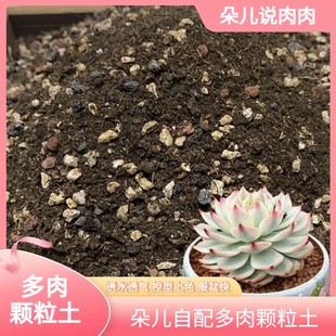 朵儿自配60-50-30颗粒土，控养上色生长养根多肉球球法师小苗通用