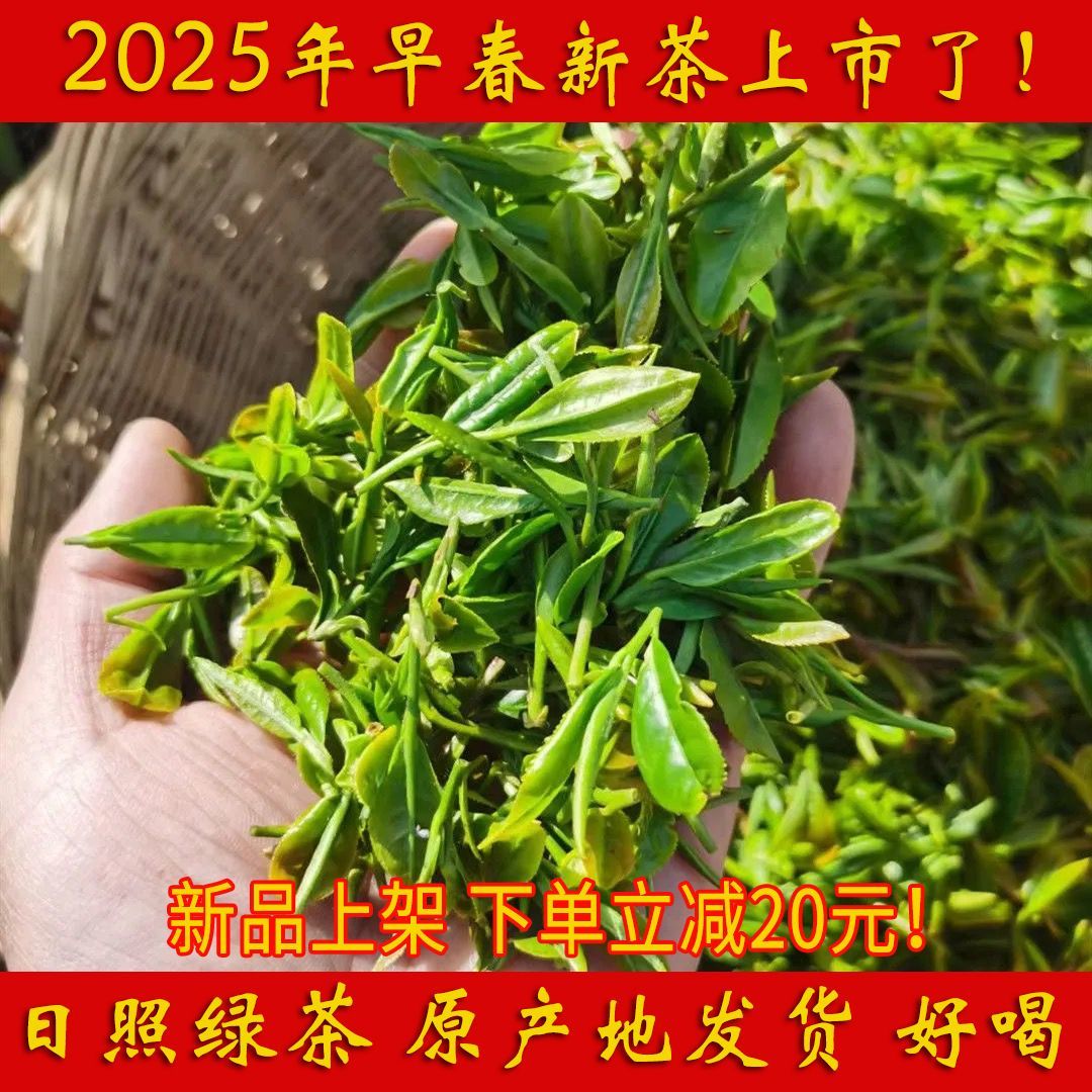 特香日照绿茶2025年新茶茶叶板栗香云雾绿茶浓香雨前春茶散装袋装