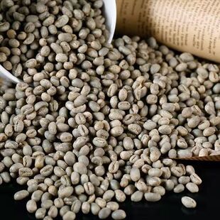 咖啡小圆豆云南小粒咖啡普洱水洗小圆豆卡蒂姆种植基地原料