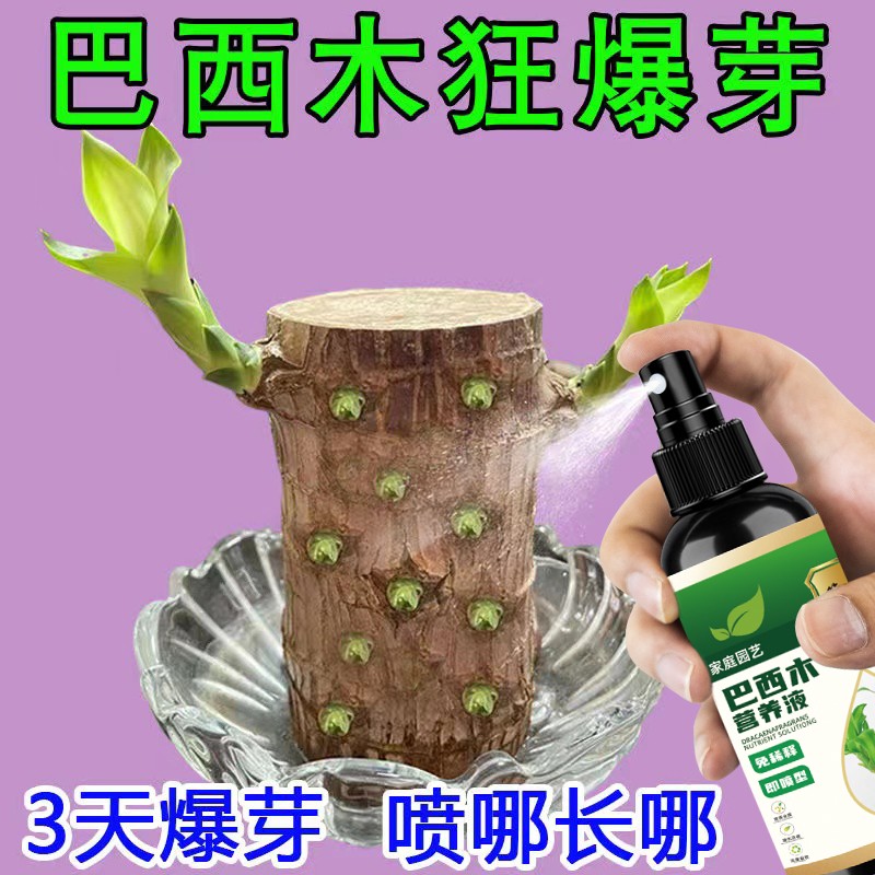 巴西木专用营养液助生长促爆芽治黄叶底部发霉烂根不发芽液体肥料