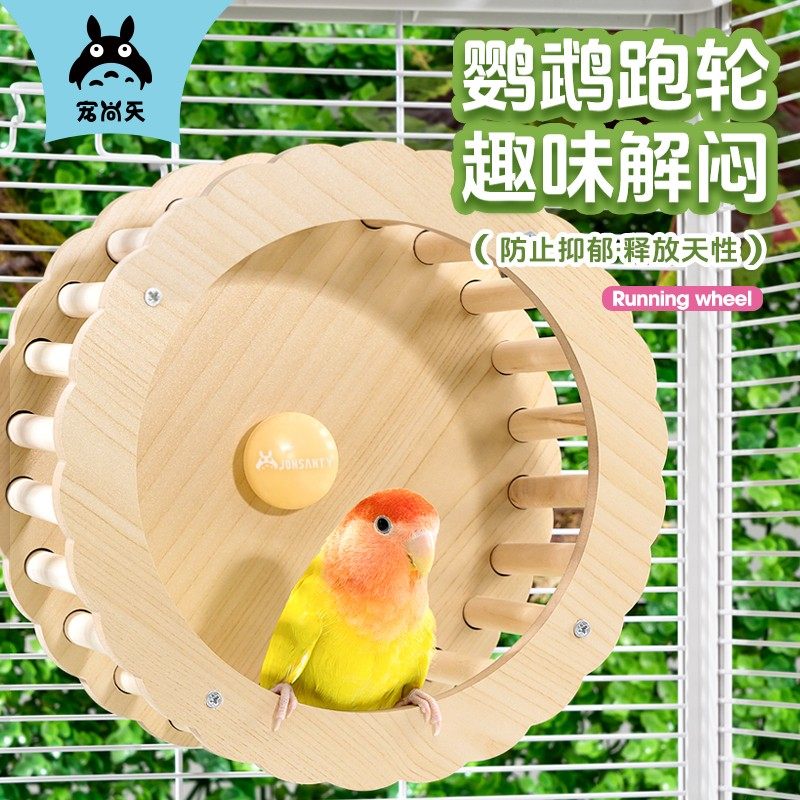 鹦鹉跑轮益智玩具自嗨解闷训练转轮鸟用跑轮虎皮牡丹鹦鹉玩具互动,宠物/宠物食品及用品,鸟玩具,淘宝优惠券,粉丝福利购,淘宝优惠卷
