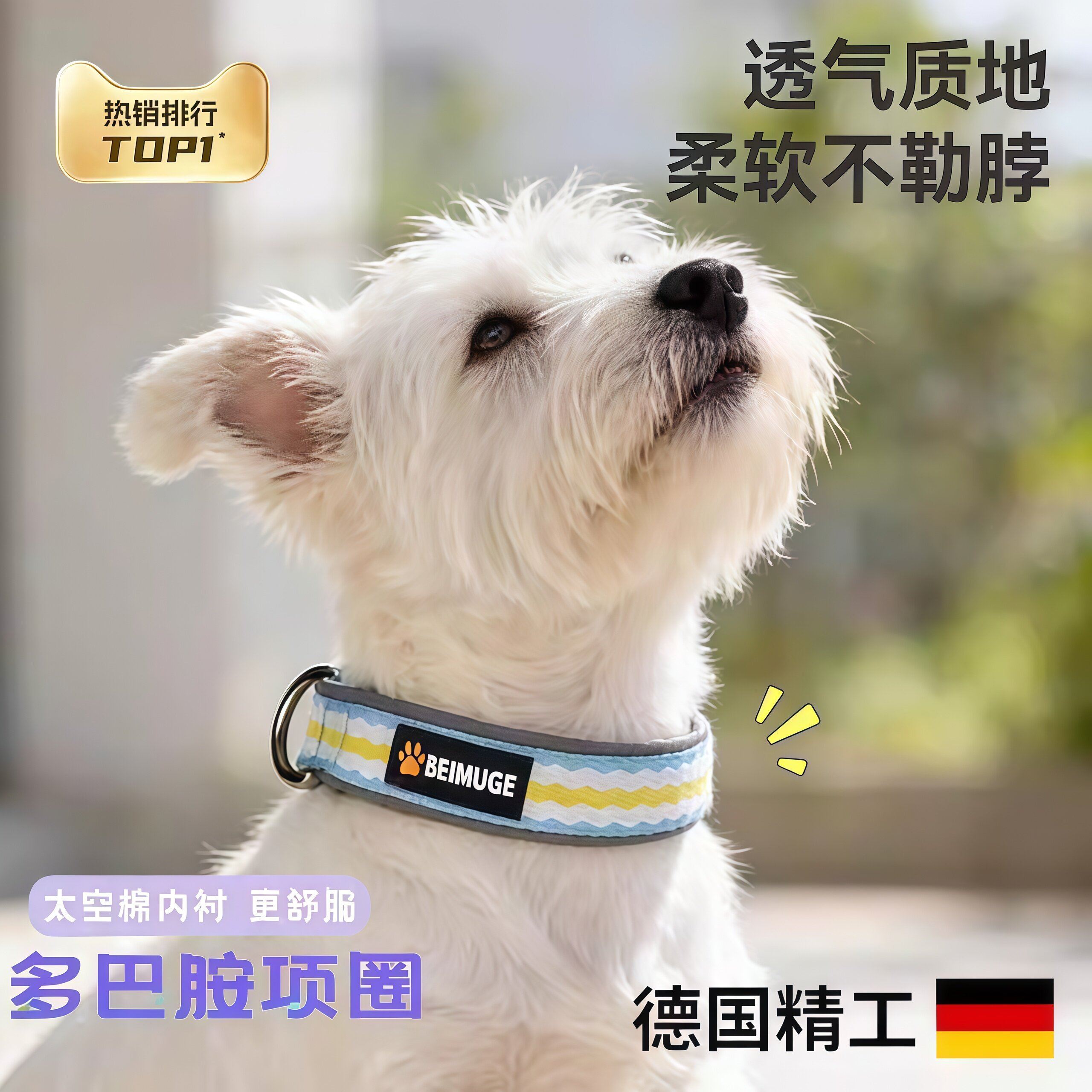 狗项圈牵引绳套装中小型犬泰迪比熊遛狗绳宠物专用大狗脖圈拴狗绳