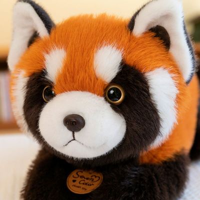 超自然行动组忘本小熊猫玩偶可爱小浣熊玩偶儿童毛绒玩具女生公仔