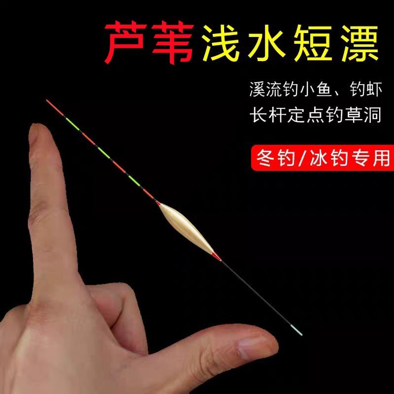 抗走水专用夜光漂高灵敏芦苇浅水漂短醒目冬钓草洞水皮打浮小白