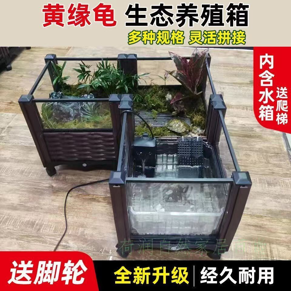 水陆两栖专用饲养箱陆龟半水龟缸生态造景箱角娃金蟾宠物鳄养殖箱