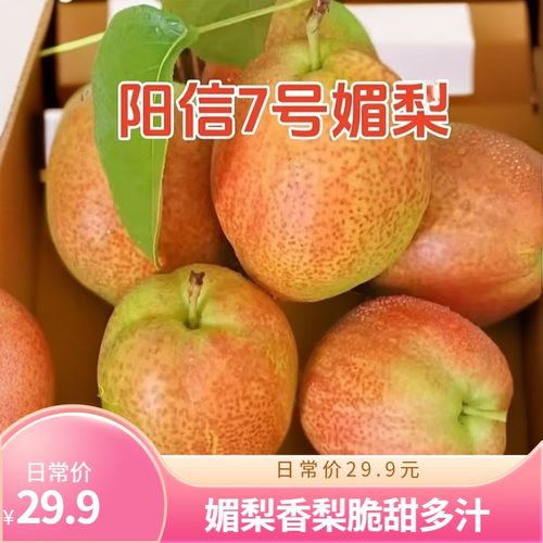 产地直发正宗7号媚梨新香梨香甜皮薄口感脆甜多汁坏果包赔