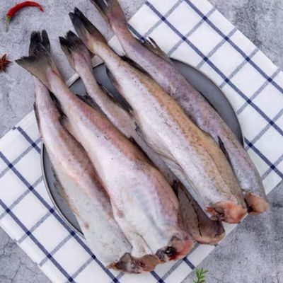 无头鱼深海鳕鱼去头去内脏鳕鱼块明太鱼宝宝辅食海水鱼鳕鱼狭鱼鲜