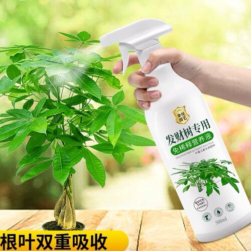 发财树专用营养液免稀释快速生根液黄叶黄化盆栽专用肥植物营养液
