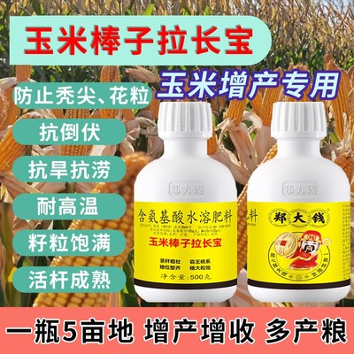 玉米专用膨大拉长素茎杆粗壮穗大粒饱增加霸王根氨基酸叶面肥农肥