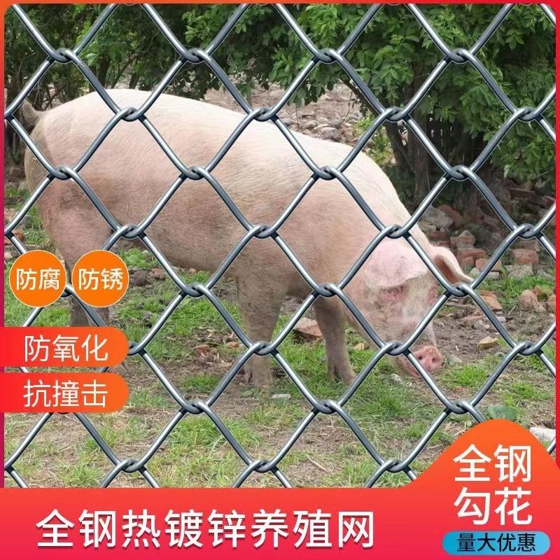 热镀锌钢丝网铁丝网果园防护勾花网养鸡网拦鸡网牛羊养殖围栏网