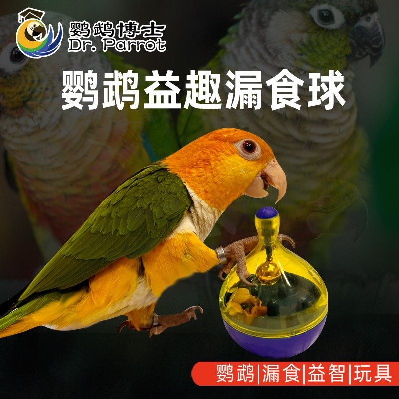 鹦鹉益智觅食玩具牡丹玄凤小太阳和尚灰机金刚不倒翁啃咬鸟漏食球,宠物/宠物食品及用品,鸟禽其他,淘宝优惠券,粉丝福利购,淘宝优惠卷