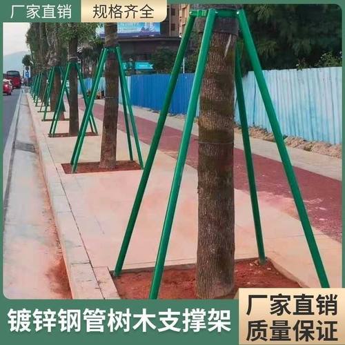 加厚镀锌钢管大树支撑架金属防风包箍固定支撑杆加固防风支撑架