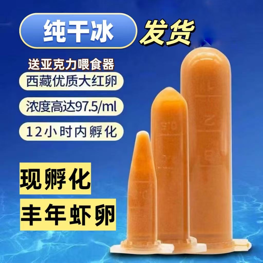 纯干冰发货化了包赔现孵化超浓丰年虾卵免孵化孔雀鱼鱼食天然饲料
