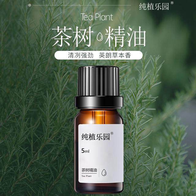 纯植乐园茶树精油5ml原液,美容护肤/美体/精油,精华油,淘宝优惠券,粉丝福利购,淘宝优惠卷