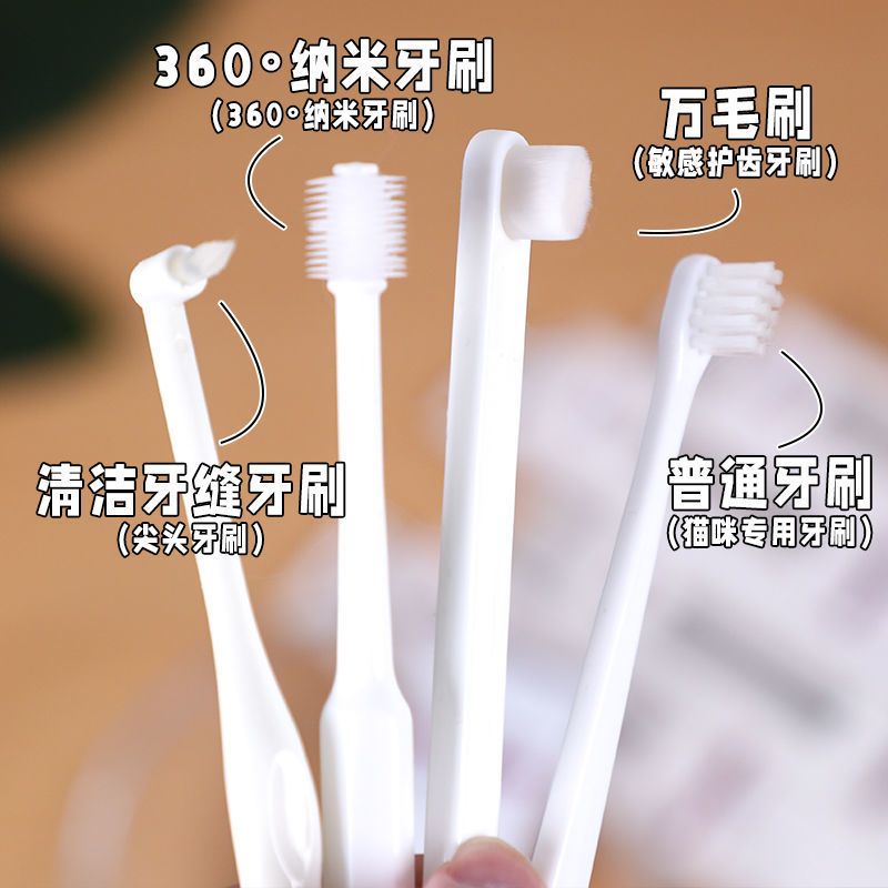猫咪专用小牙刷KOJIMA狗狗猫咪牙膏牙刷套装刷牙小型犬除口臭猫宠