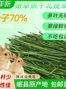24年新鲜《精选头茬多叶》嫩绿兔子烘干干草兔子草提摩西草