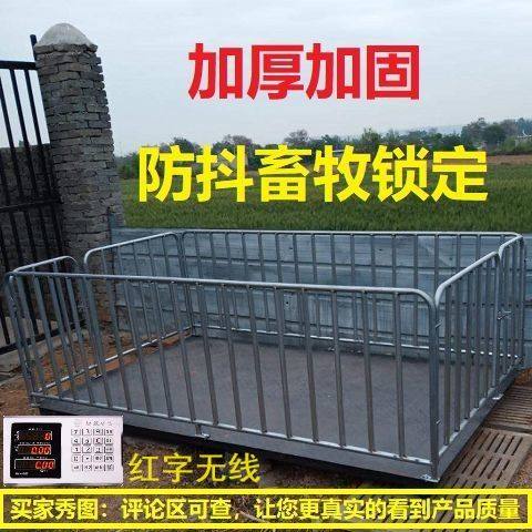 红字无线地磅秤称猪电子秤称牛地磅称猪用移动地磅3吨加厚万向轮