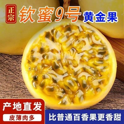 产地直采广西钦蜜9号百香果当季新鲜现摘多汁香甜水果坏果包赔