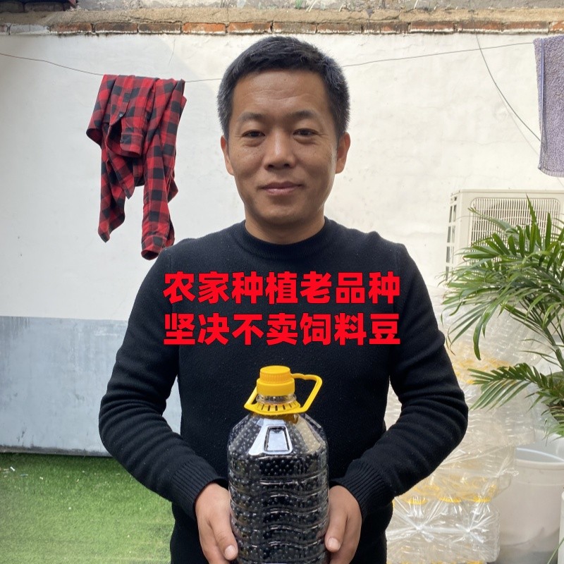 25年新黑豆黑皮绿心真材实料纯黑豆新粮农家健康杂粮豆浆绿芯