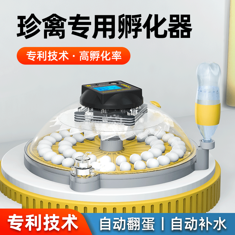 孵化器小型家用芦丁鸡孵化小飞碟孵蛋器柯尔鸭智能鹦鹉鸟蛋孵化箱