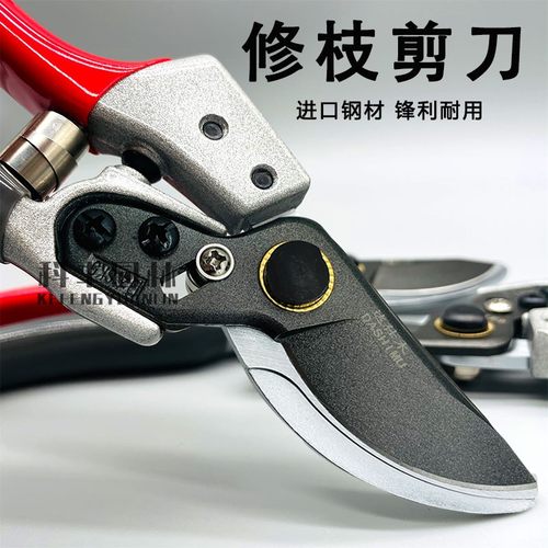 剪树枝专用剪子修剪树枝剪刀修枝剪养花工具省力耐用家用果枝剪